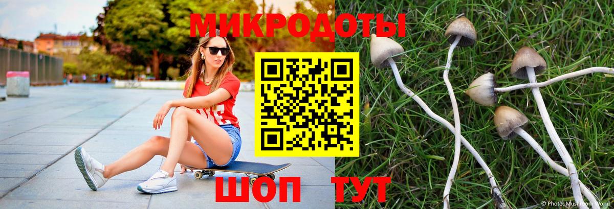 Галлюциногенные грибы мухоморы  Вход с VPN  Астрахань  Псилоцибиновые грибы Psilocybine cubensis 