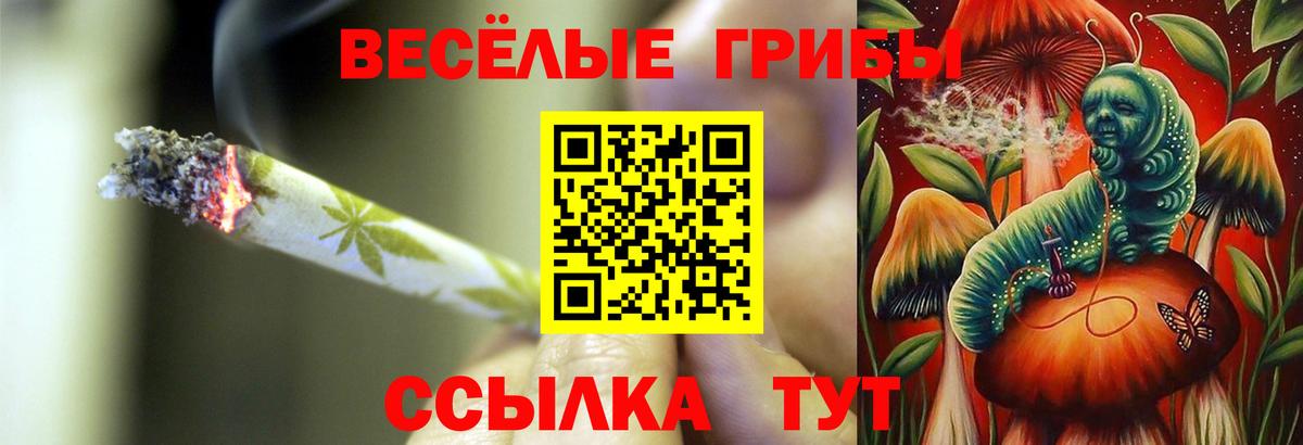 Псилоцибиновые грибы MAGIC MUSHROOMS Астрахань